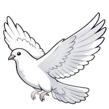 Mission Dove